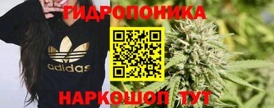 круглые Дубна