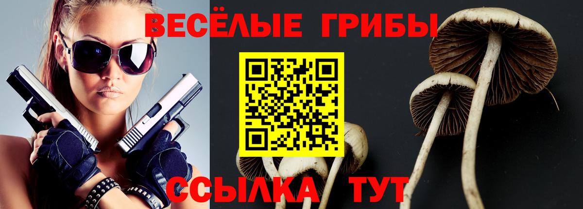 Псилоцибиновые грибы мицелий  Вход с VPN  Искитим  Псилоцибиновые грибы Cubensis 